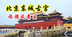 操小逼内射视频中国北京-东城古宫旅游风景区